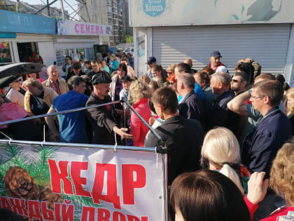 Кедр - в каждый двор!