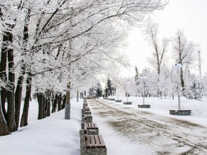 В Алтайском крае установились холодные ночи и теплые дни