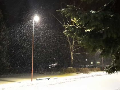 Небольшой снег: о погоде в Алтайском крае 14 января