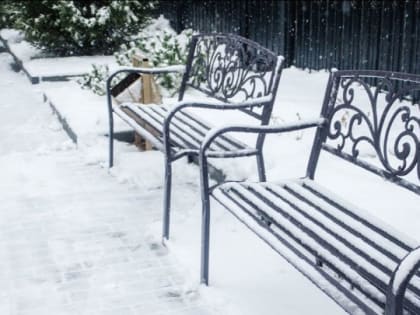 Оттепель до +1 градуса пришла 18 февраля в Алтайский край