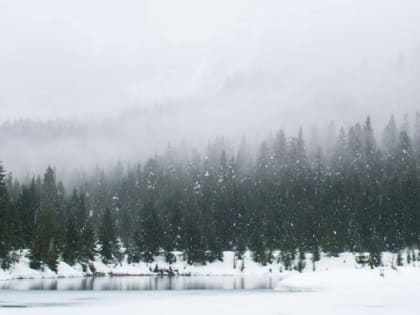 Сильные морозы возвращаются в Алтайский край