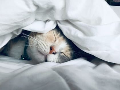 Надо подождать. Когда в России наступят следующие длинные выходные