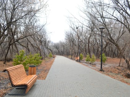 В Барнауле определят подрядчиков для благоустройства парка «Юбилейный» и территории бывшего парка имени Ленина