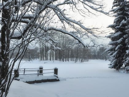 Без осадков: погода в Алтайском крае и Рубцовске 31 января