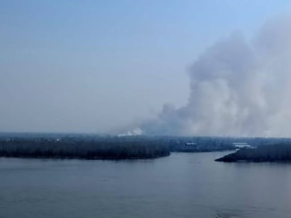 СМИ: в окрестностях Затона загорелась сухая трава