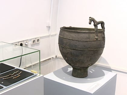 «Обязательно к посещению»: в краеведческом музее покажут уникальные экспонаты старше 2,5 тысячи лет