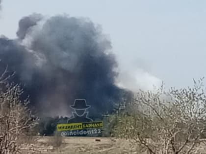 Жители Алтайского края сообщают о полыхающих лесах