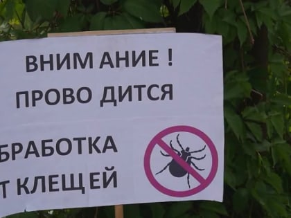 В Сибири и Алтайском крае наступил пик активности клещей
