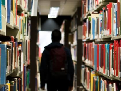 В вузах России назвали количество бюджетных мест