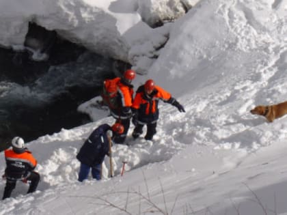 В алтайском районе без вести пропал пенсионер в черной одежде