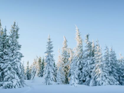 Потепление со снегом, метелями и ветром пришло в Алтайский край