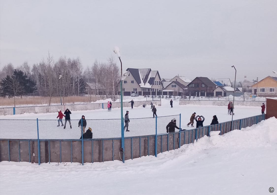 Катки барнаул 2024. Каток Барнаул. Каток корова на льду Барнаул.