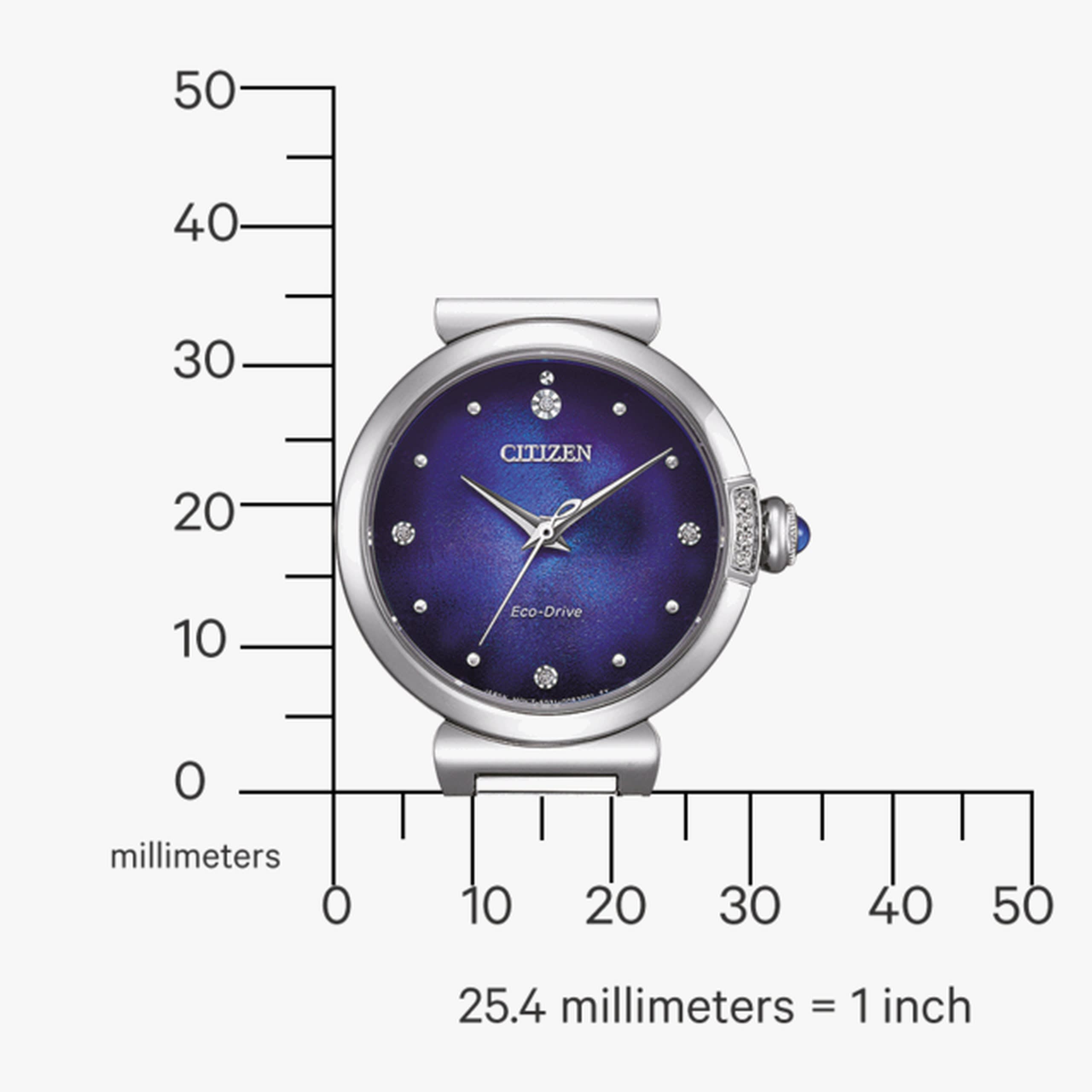 Citizen EM1060-87L | World Watch Museum
