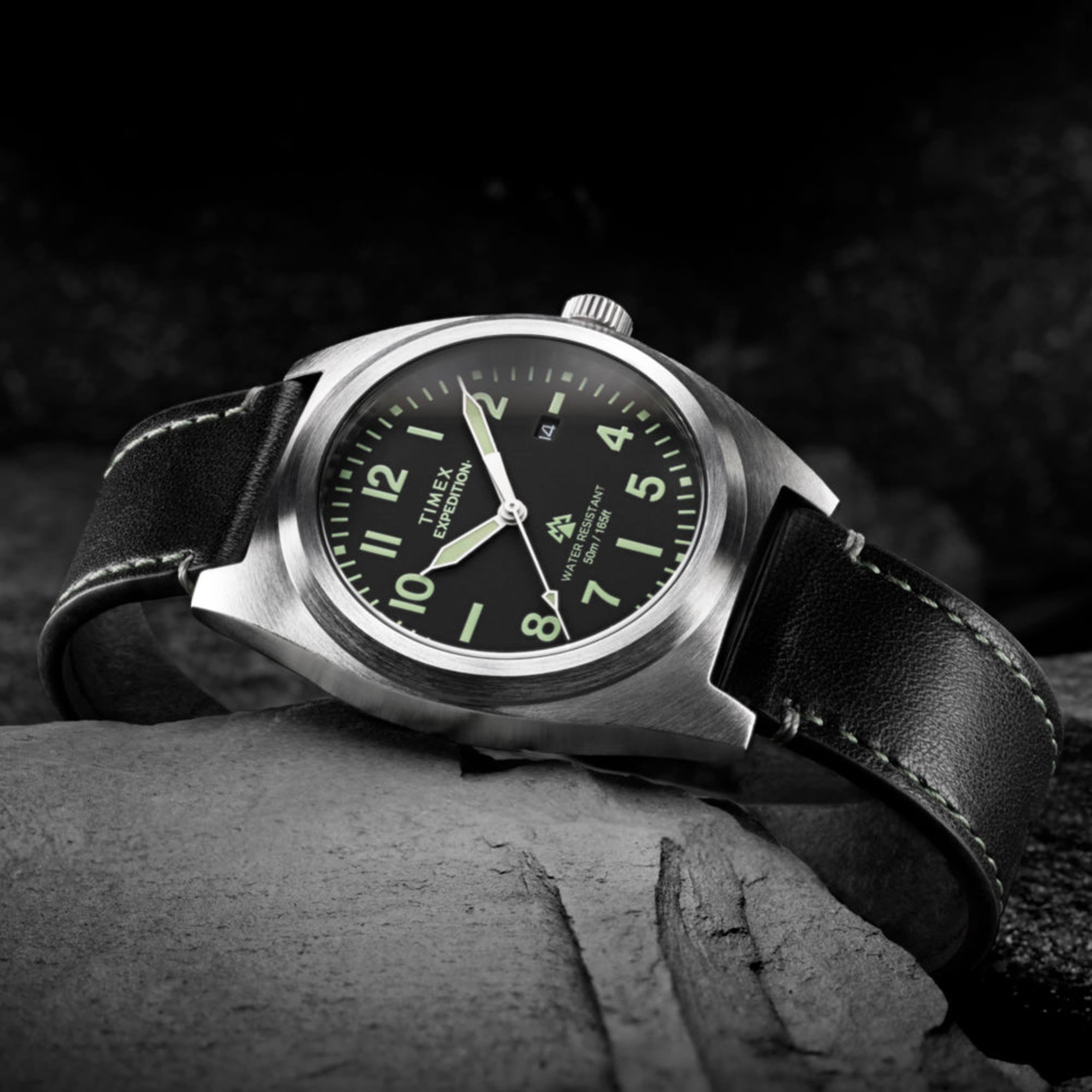 Timex Expedition® Capstone | World Watch Museum