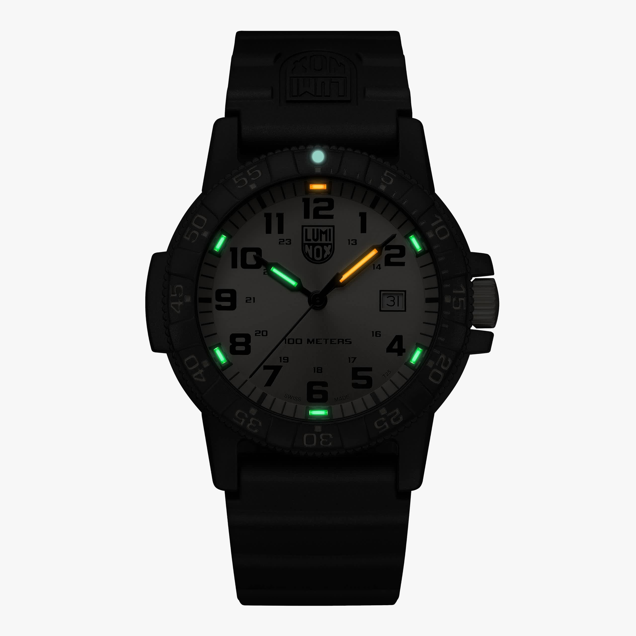 Luminox Leatherback Sea Turtle Giant 0320 Series | 0325.GP