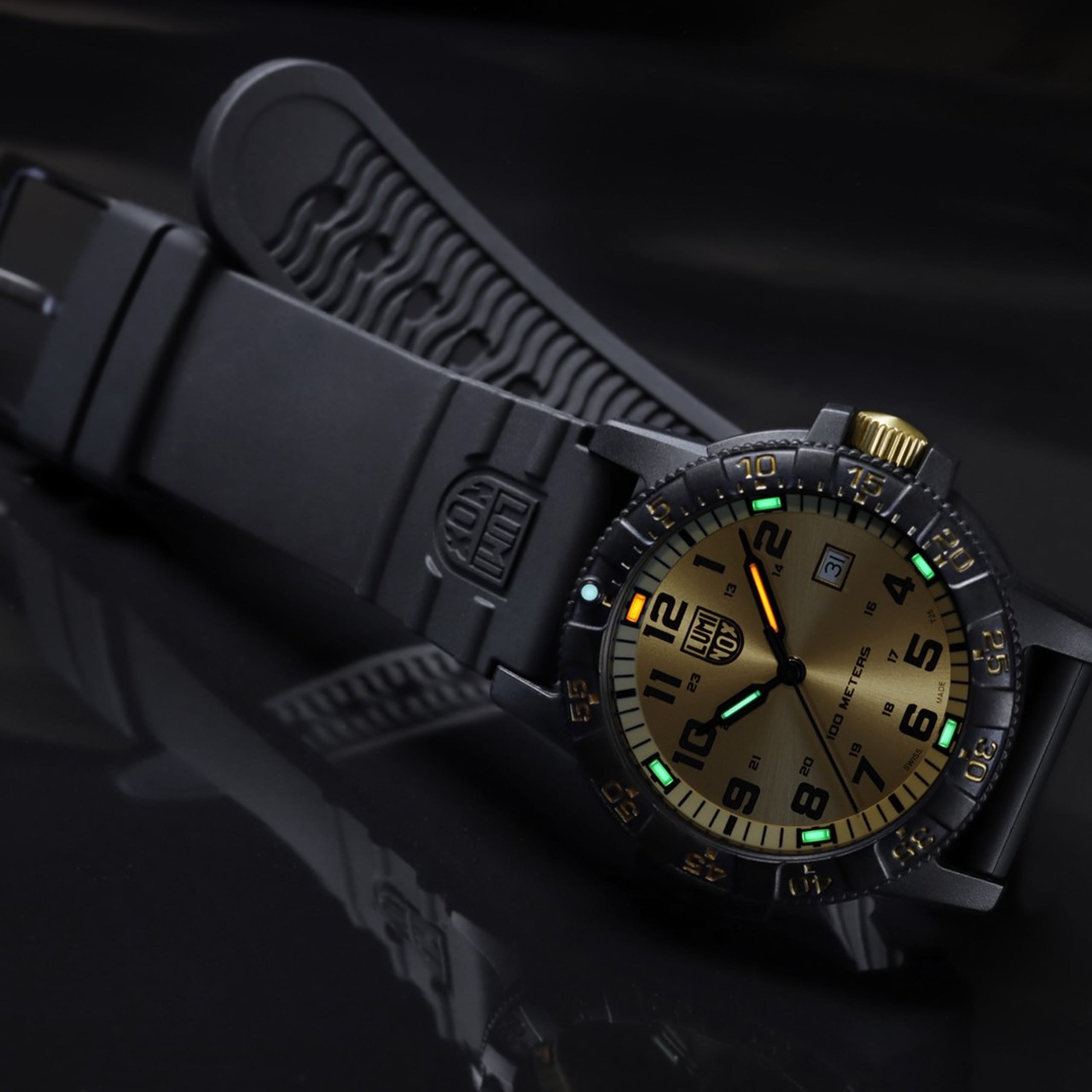 Luminox Leatherback Sea Turtle Giant 0320 Series | 0325.GP