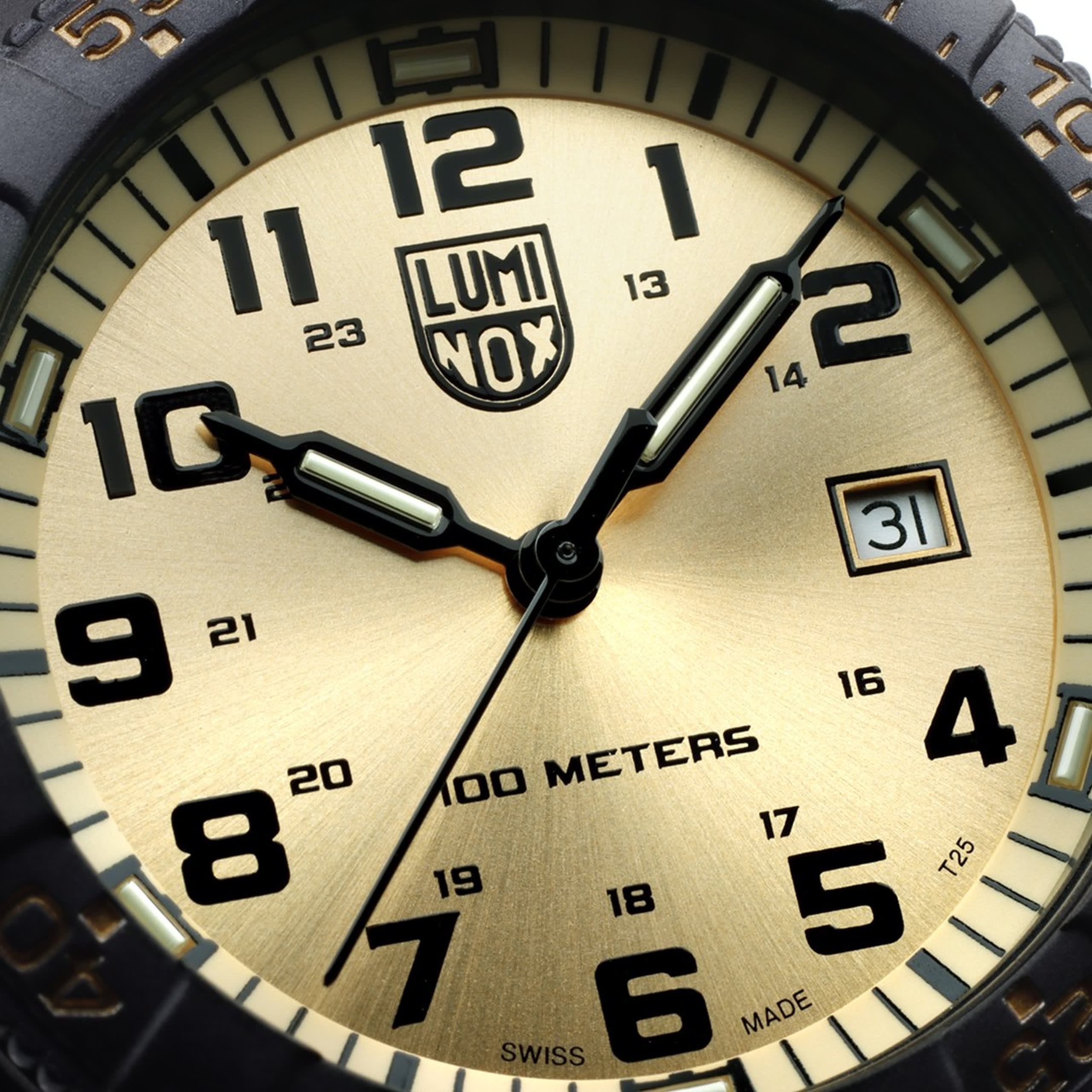 Luminox Leatherback Sea Turtle Giant 0320 Series | 0325.GP