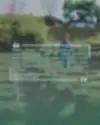 3572816164826912731_11305276015