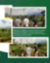 3632173218582374165_11305276015