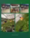 3632173218876096124_11305276015