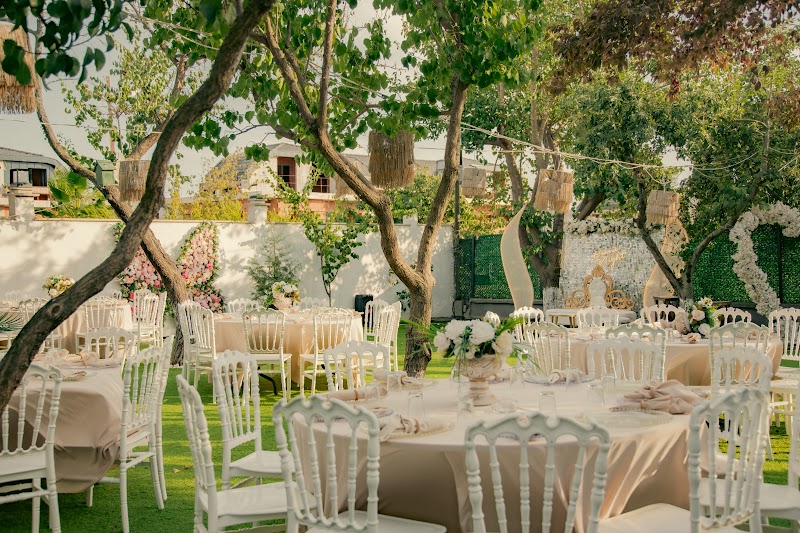 Pelinin Organizasyon Evi Beylikdüzü - Fotoğraf 1