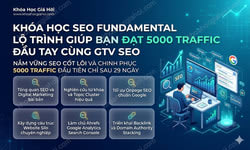 Khóa Học Seo Fundamental Lộ Trình Giúp Bạn Đạt 5000 Traffic Đầu Tay Cùng Gtv Seo