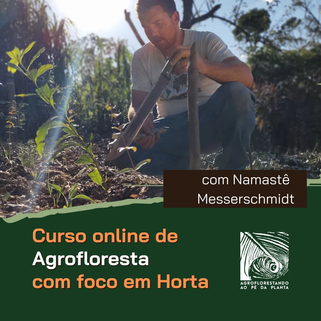 Curso de Agrofloresta com Foco em Horta