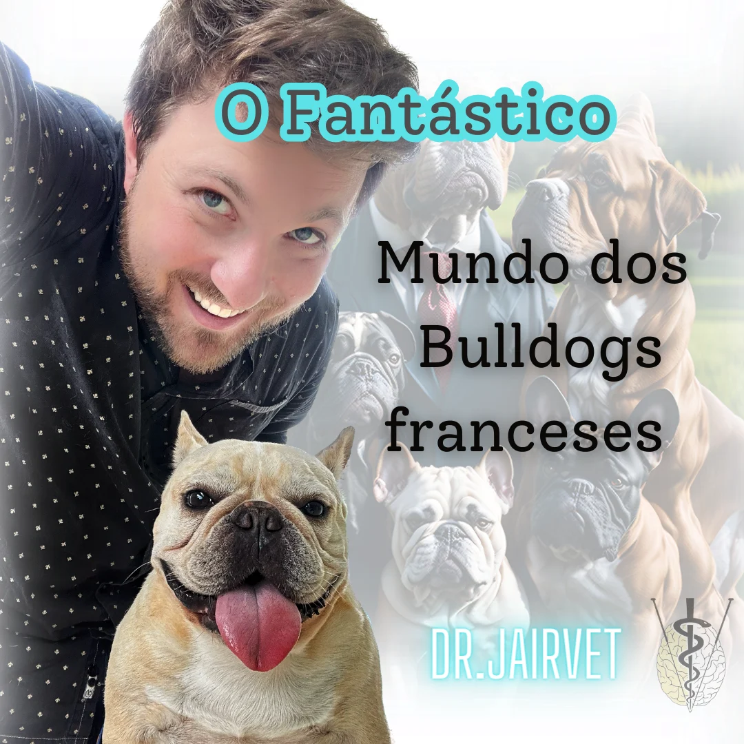 O Fantástico Mundo Dos Bulldogs Franceses