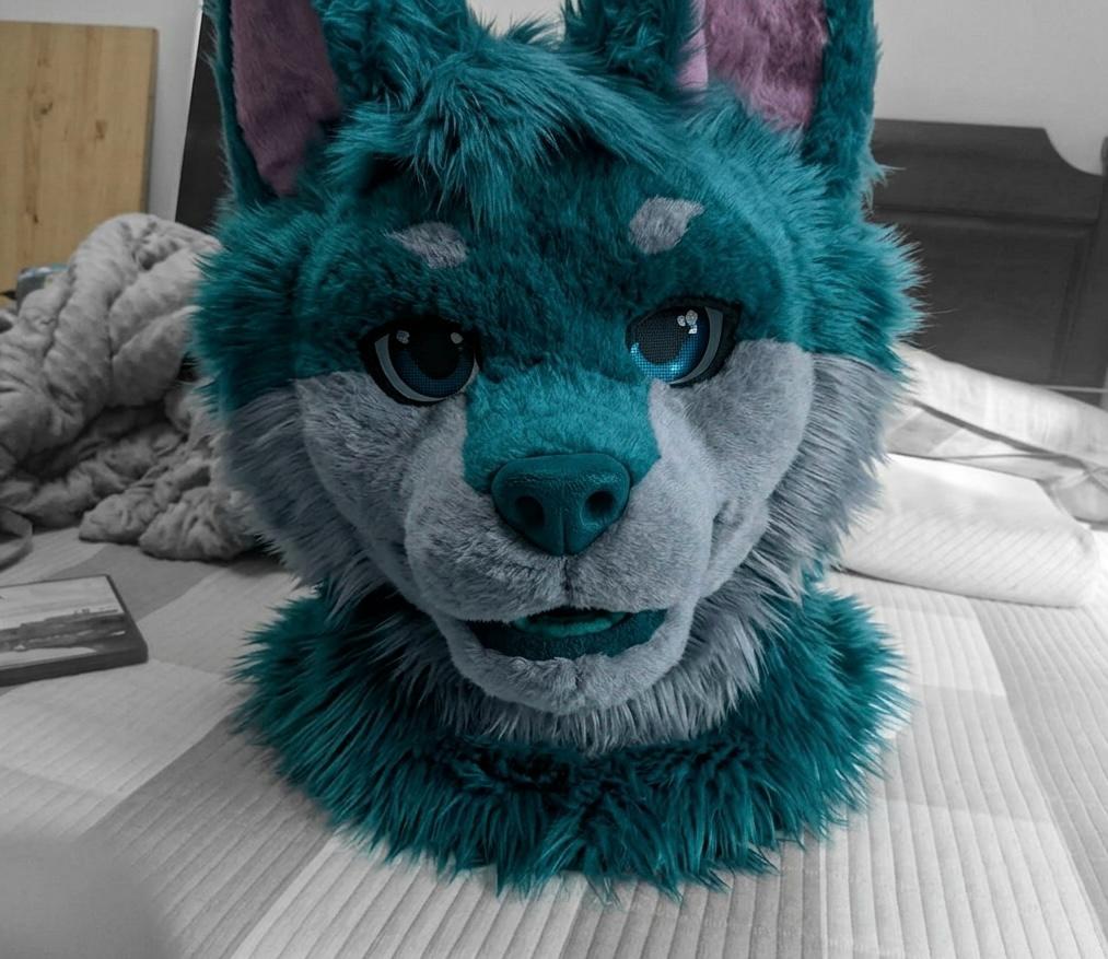 Fursuit head example