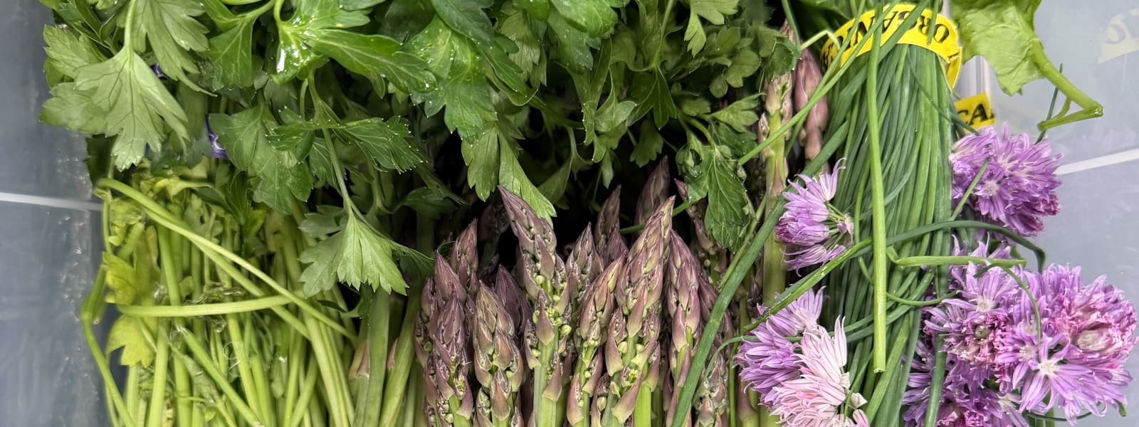 Bunches of parsley, asparagus, flowering chives and tarragon laid out together