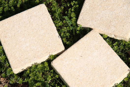 Fungi Over Foam: How Ecovative Design Is Growing Its Way Into the Global Insulation Market