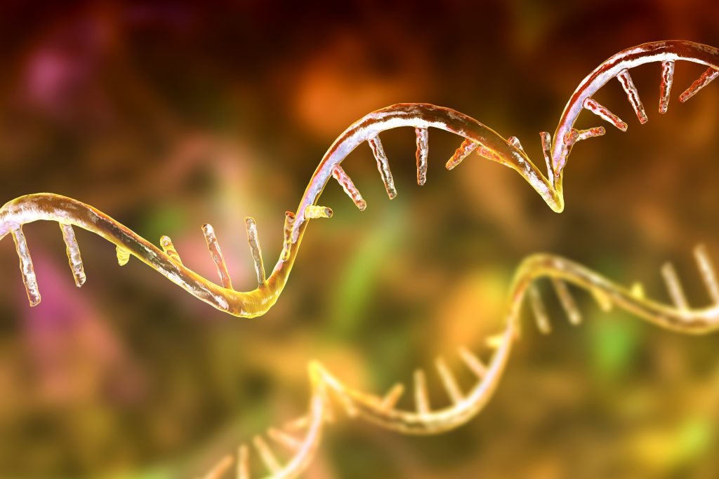 The Vaccine That Starts From Scratch Every Single Time