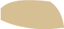 Tan Shoe1