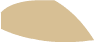 Tan Shoe2