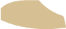 Tan Shoe3