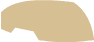 Tan Shoe4