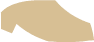 Tan Shoe5