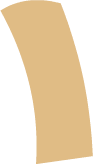 Tint4 Leg