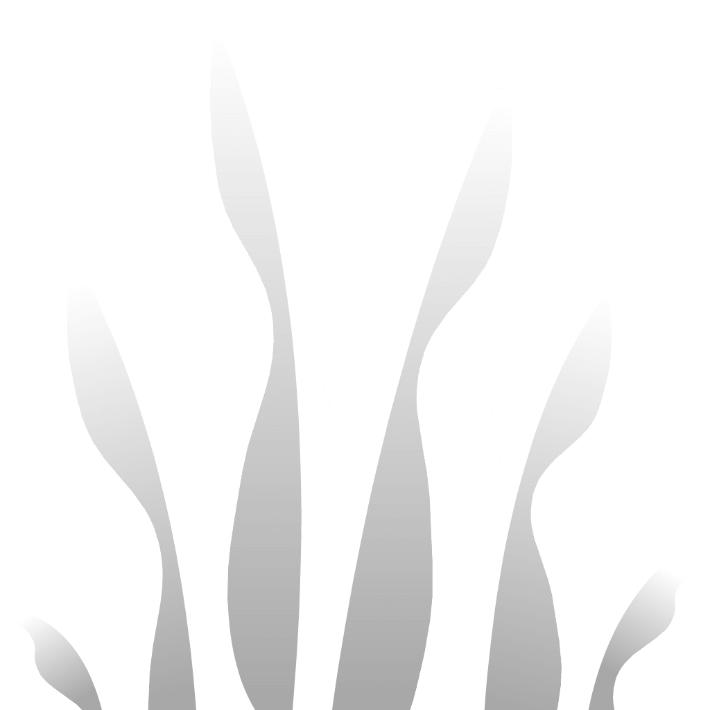 Sprite 0060