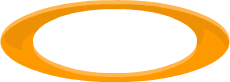 Portal Orange