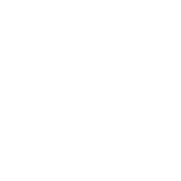 Pattern 0029