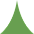 Tree Top