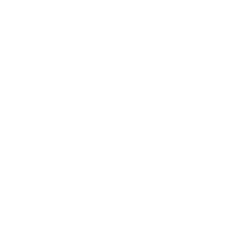 Splat31
