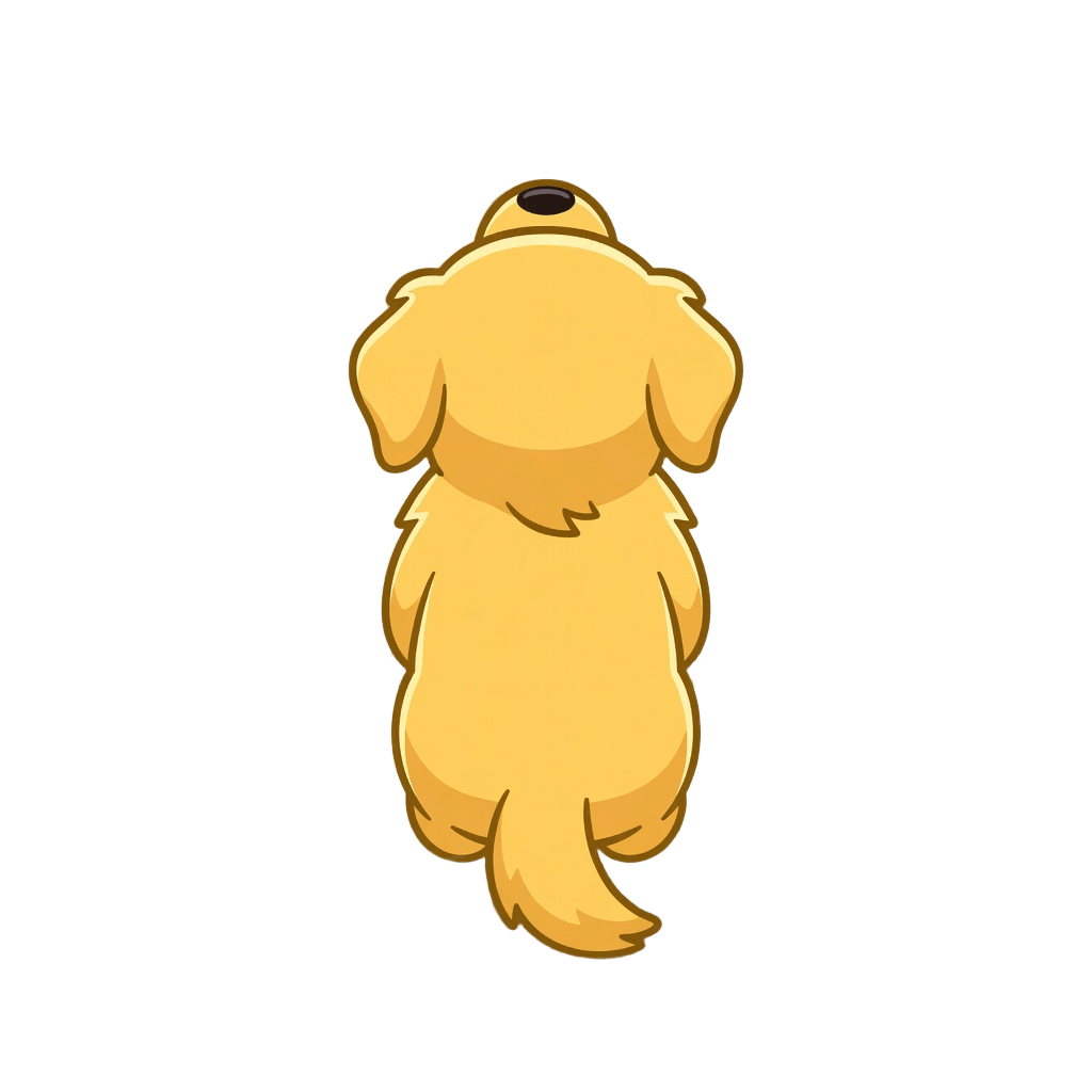 Golden Retriever Back Clear
