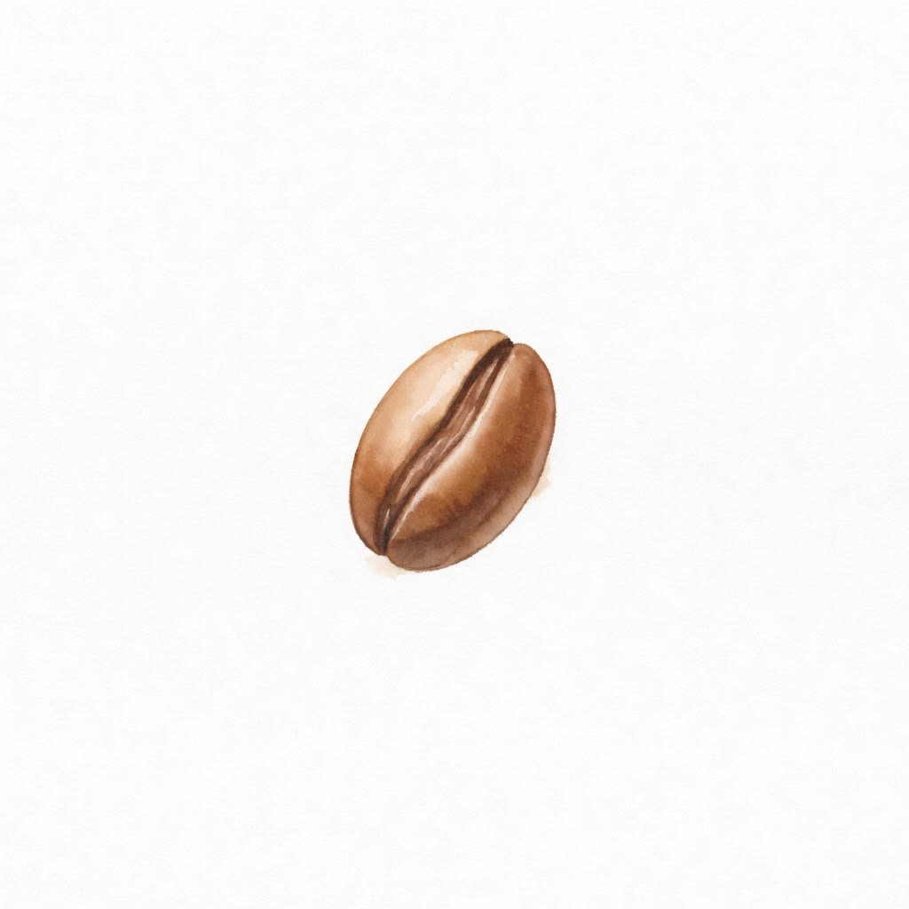 Coffee Bean Watercolor Icon (4 / 4)