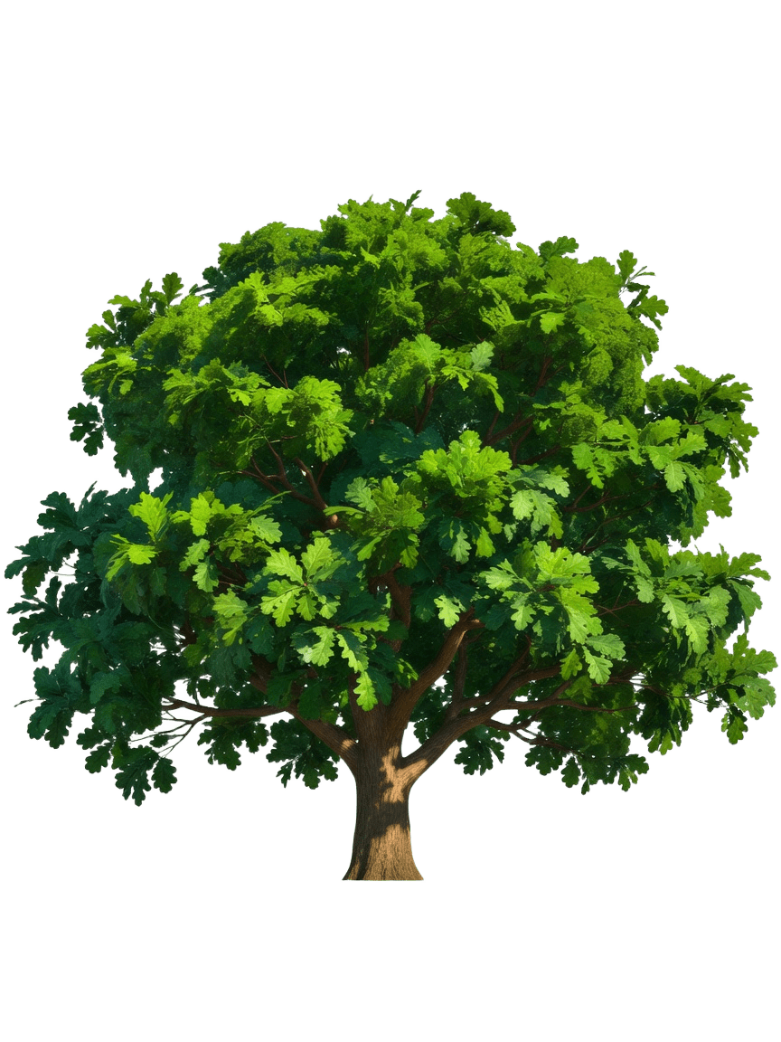 Deciduous Tree Billboard 1