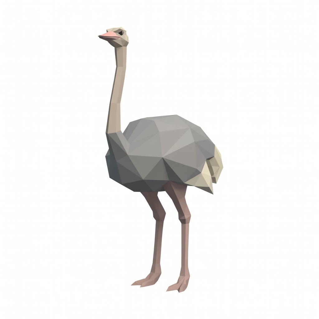 Ostrich Concept (2 / 2)