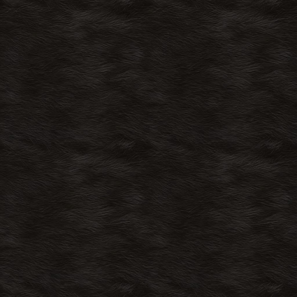 Black Cat Fur