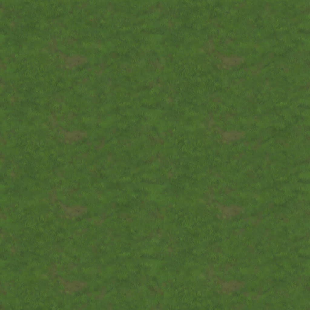 Medieval Grass Ground Texture (1 / 2)