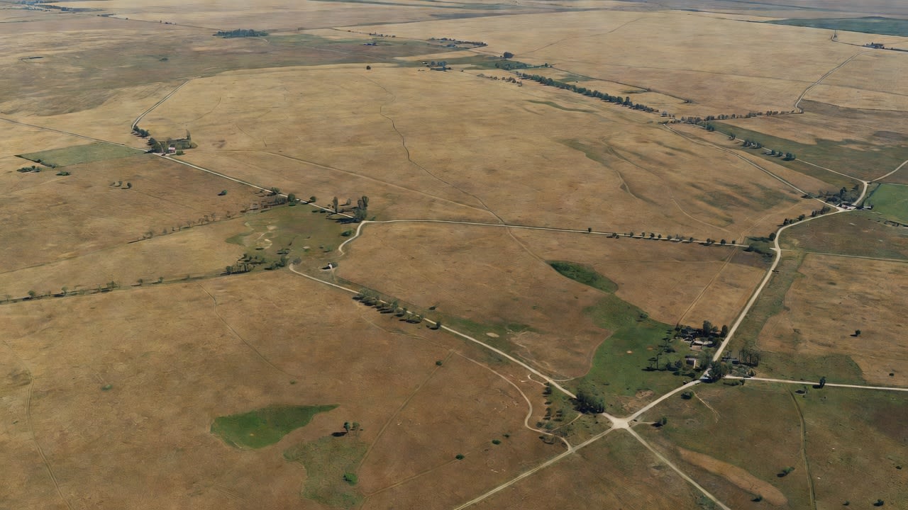 Zaporizhzhia Steppe Battlefield (1 / 2)